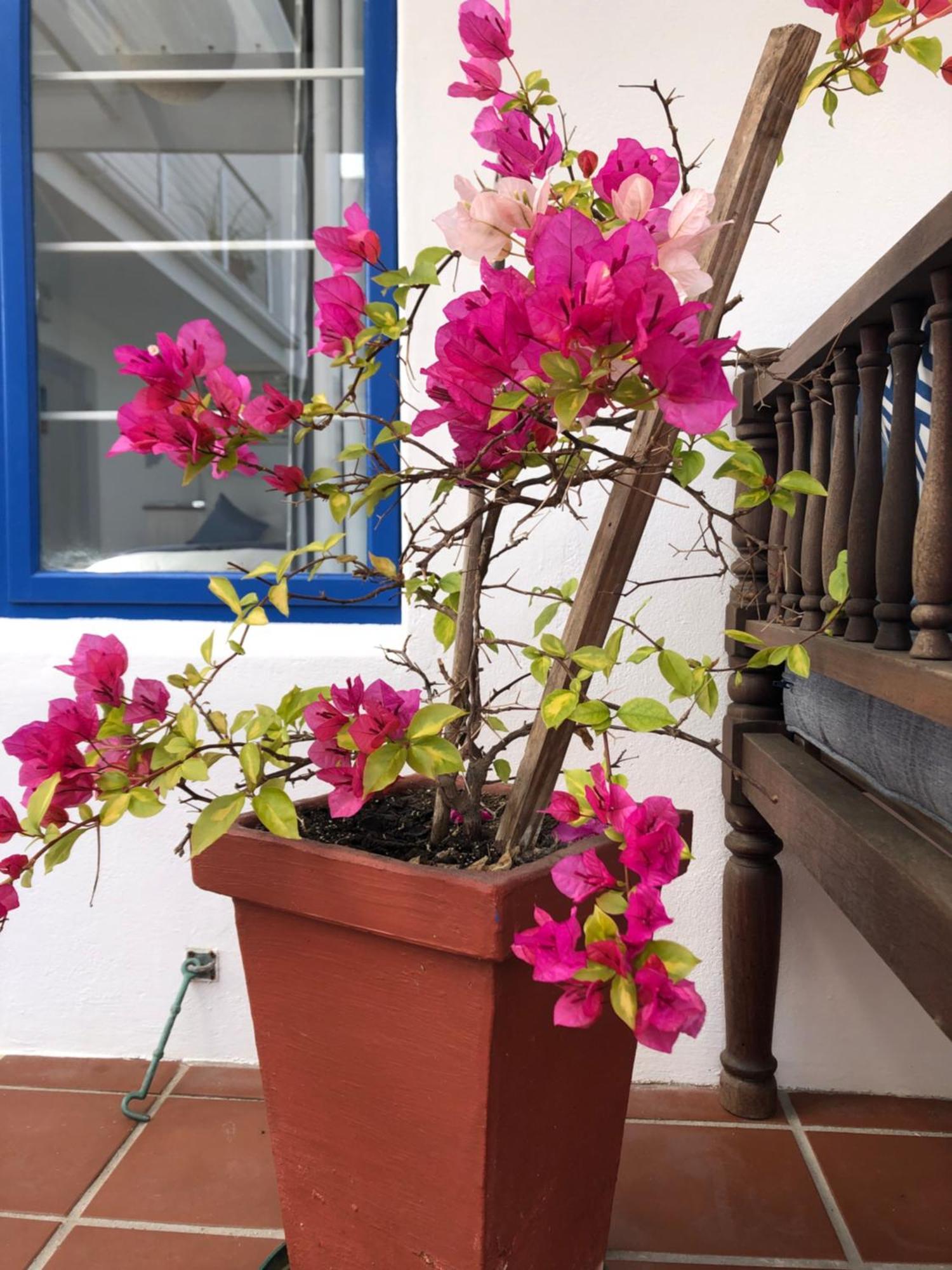 Bluesky Arniston Guest House Luaran gambar